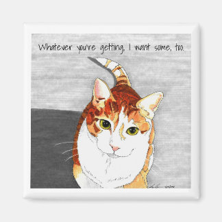 Magnet: Treats for Hobbes Magnet