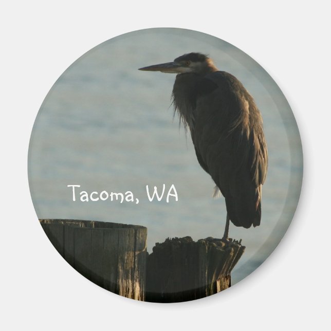 Magnet: Underbar Blue Heron Magnet (Framsidan)