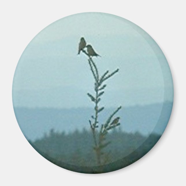 Magnet - Världens topp (Framsidan)