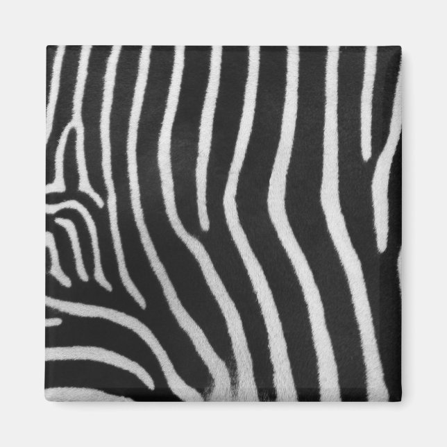 Magnet vid Mönster-torget Zebra Rand (Framsidan)