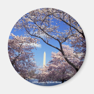 Magnet/Washington monument Magnet