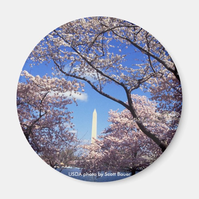 Magnet/Washington Monument Magnet (Framsidan)
