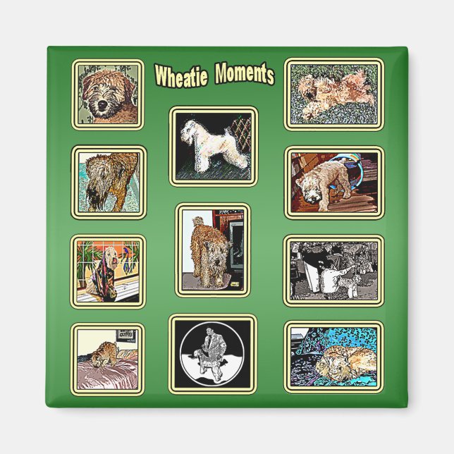 Magnet: Wheatie Moments Magnet (Framsidan)