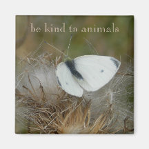 Magnet White Butterfly "Be Kind to Animals"