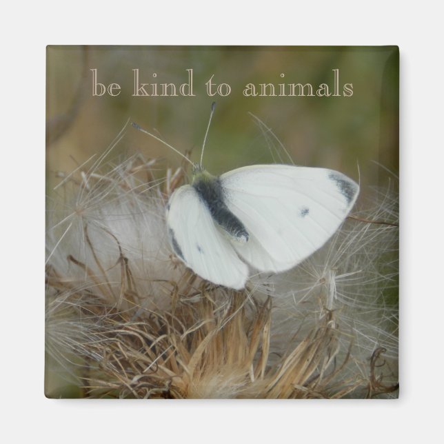 Magnet White Butterfly "Be Kind to Animals" (Framsidan)
