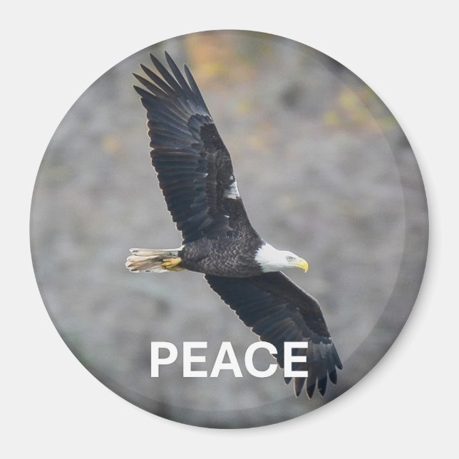 Magnet with Bald Eagle picture and the word Peace (Framsidan)