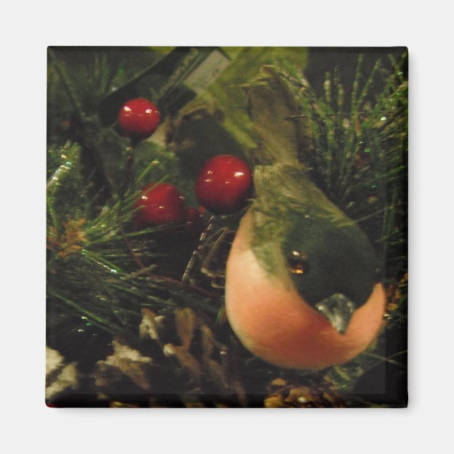 Magnet with Bird (Framsidan)