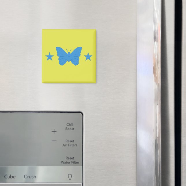 Magnet with Flag of Bady Bassitt, Brazil (In Situ (Fridge))