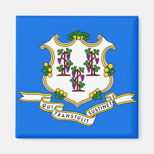 Magnet with Flagga of Connecticut State - USA