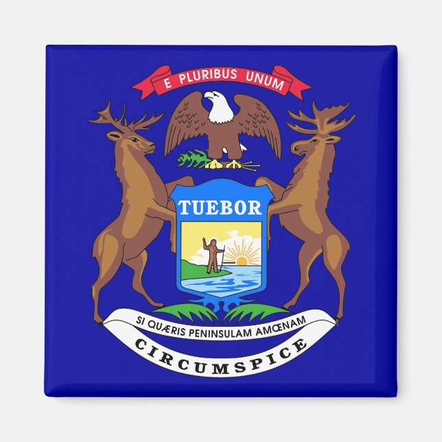 Magnet with Flagga of Michigan State - USA (Framsidan)