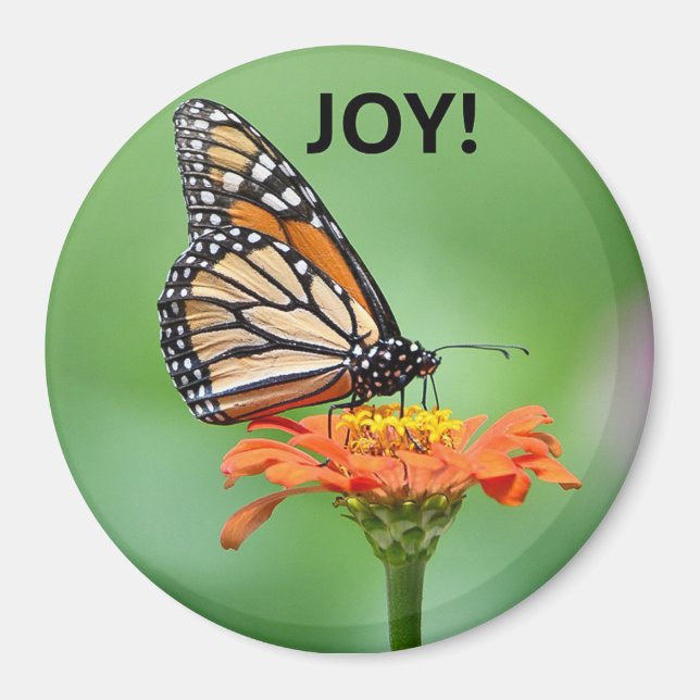 Magnet with Monarch butterfly, flower, and JOY! (Framsidan)