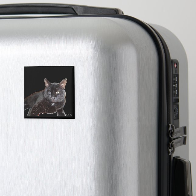 Magneter (In Situ (Luggage))
