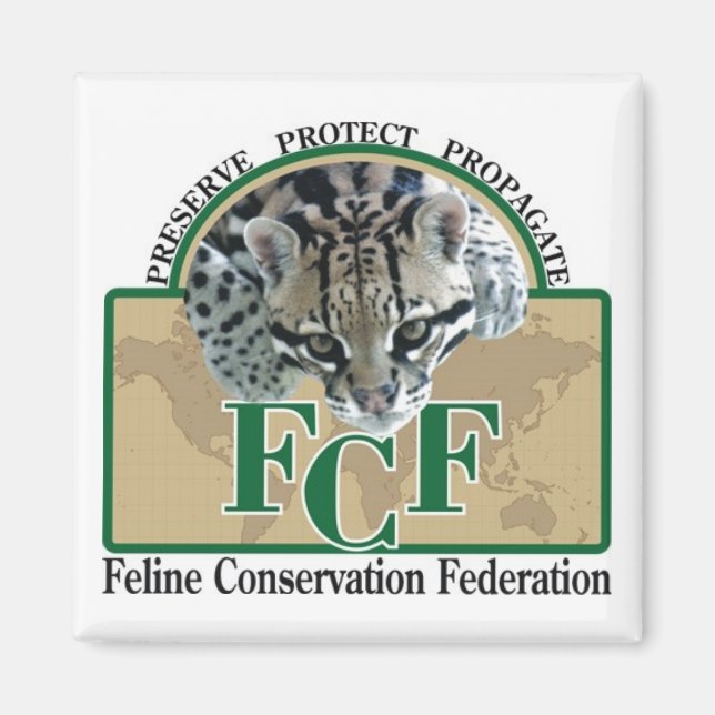 Magneter (Framsidan)