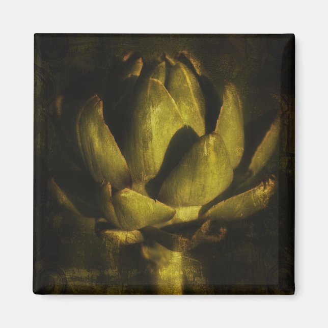 Magneter (Framsidan)