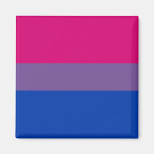 Magneter för Biprideflagga