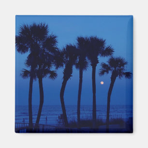 Magneter för Daytona Beach FL tropiska