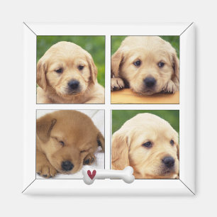 magneter för instagramfotohund