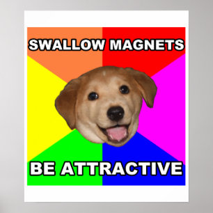 Magneter för rådgivninghundsvala poster