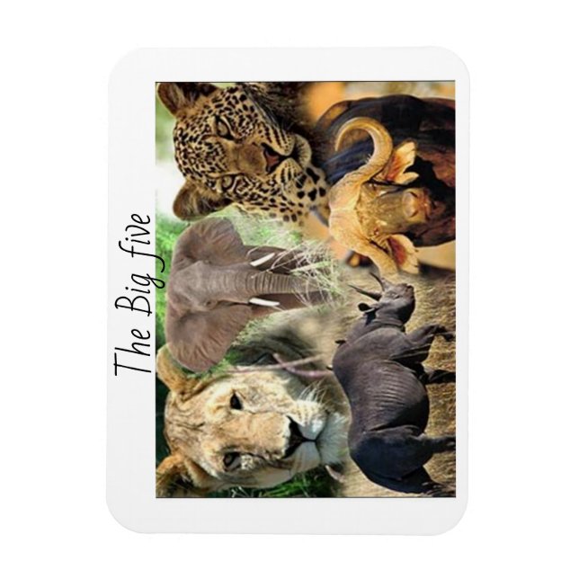 magneter kenya big fem (Vertikal)