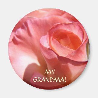 MAGNETER Rosa Rosblomma MIN MFAR! Magnet