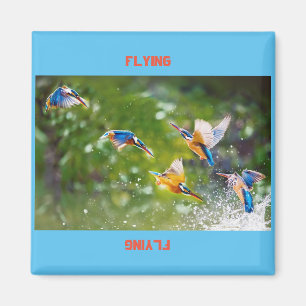 Magnetflygning Magnet