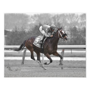 Magnetique Photo Print Fototryck