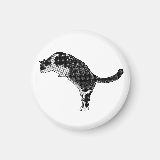 Magnetisk kattdetalj magnet (Framsidan)