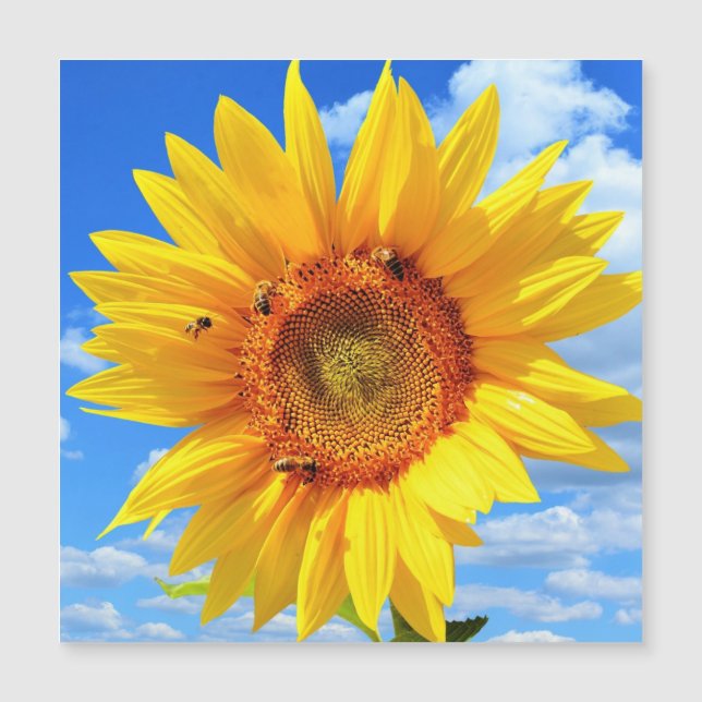 Magnetisk sommarkort med gul solros (Framsida)