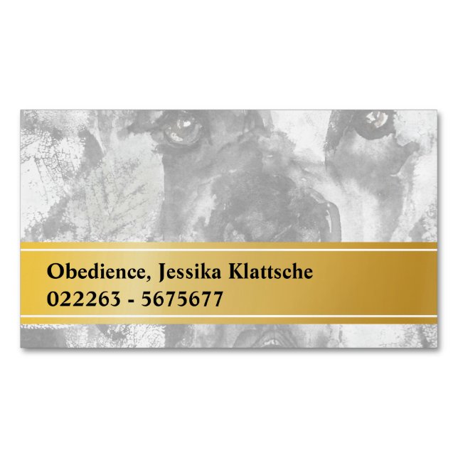 magnetiska kort (Framsida)