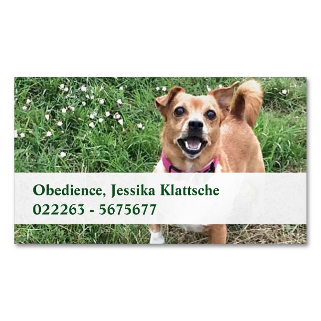 magnetiska kort (Framsida)