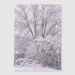Magnetiskt blankkort för snö