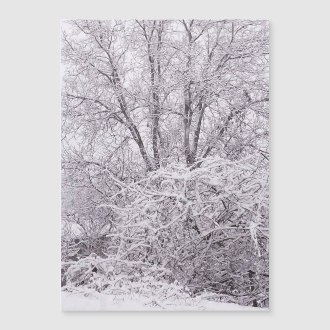 Magnetiskt blankkort för snö (Framsida)