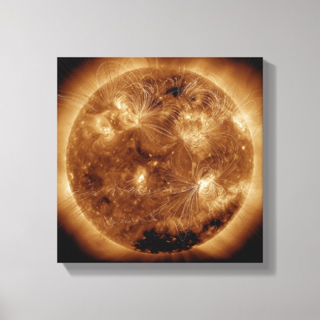 Magnetiskt fält linjer på Sol 2 Canvastryck (Framsida)