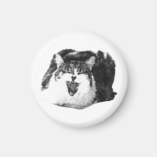 Magnetiskt Leende, Kattpop Magnet (Framsidan)