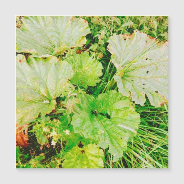 Magnetkort (Framsida)