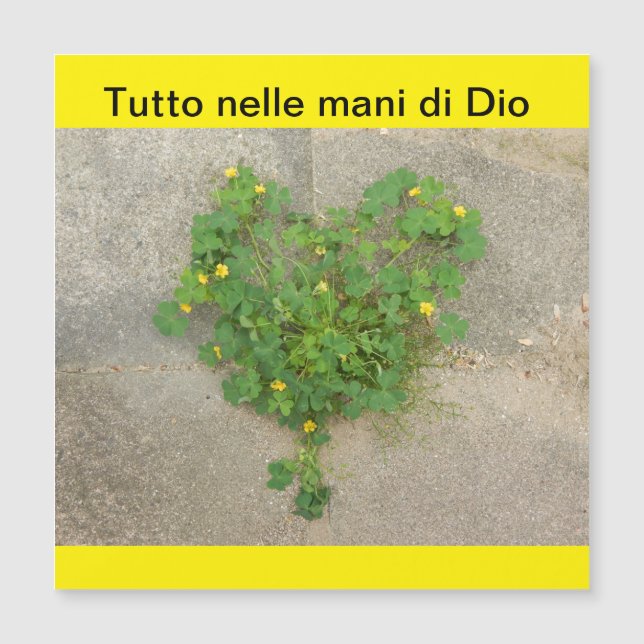 Magnetkort (Framsida)