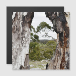 Magnetkort för fönster