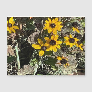 Magnetkort för gultens blomma