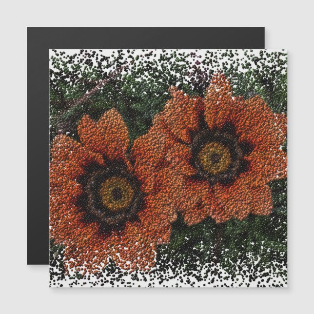 Magnetkort för orange Daisy Bollar (Fram/baksida)