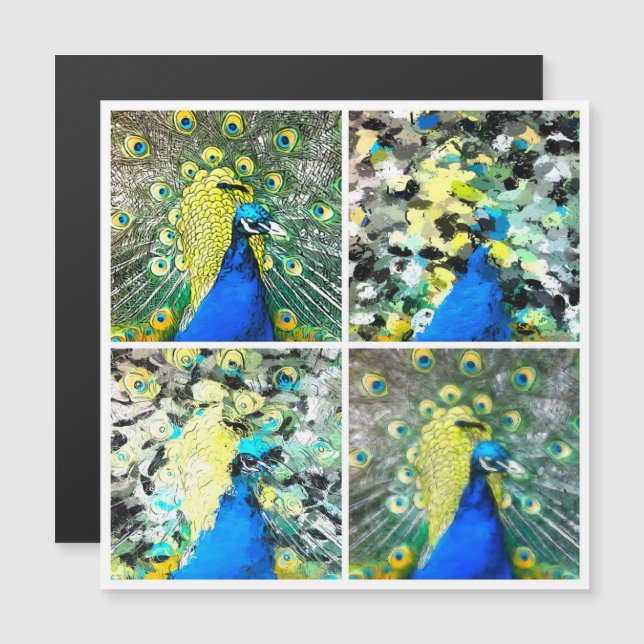 Magnetkort för peacock Art (Fram/baksida)