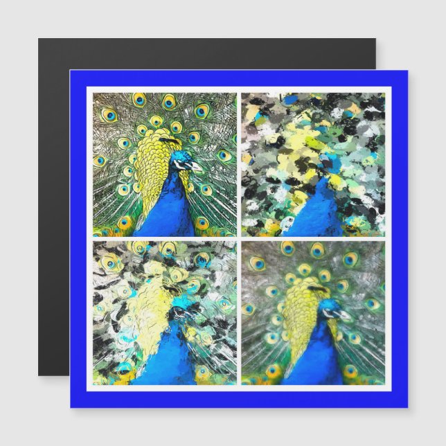 Magnetkort för peacock Art (Fram/baksida)