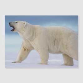 Magnetkort för polar