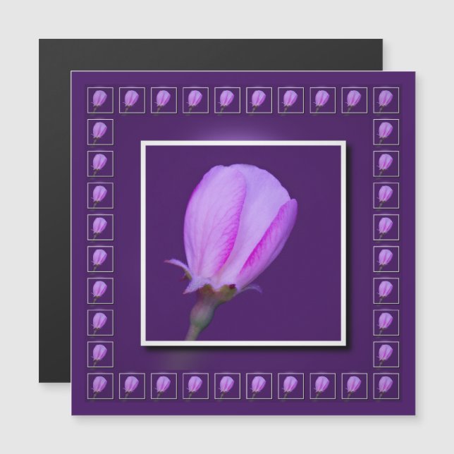 Magnetkort för rosa och Lila Vår Blommar (Fram/baksida)