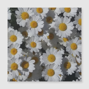 Magnetkort för vita Daisy