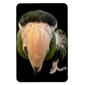 magnetmagnetmagneter magnet