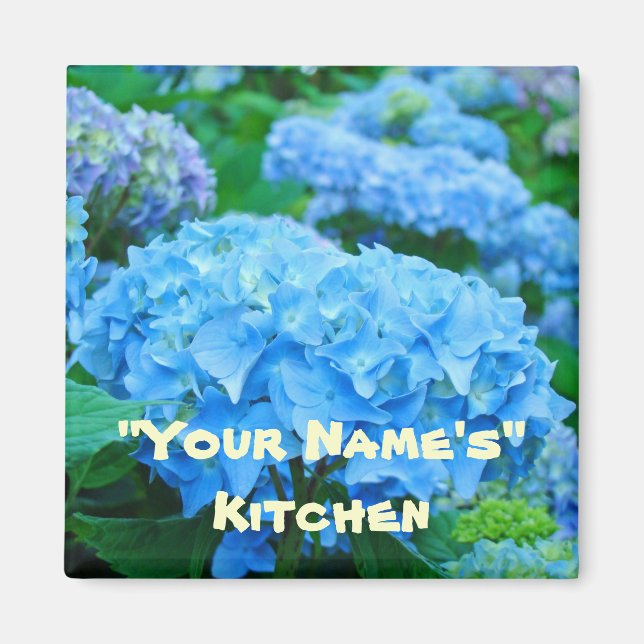 Magnets Blue Hydrangea Flowers! Magnet (Framsidan)