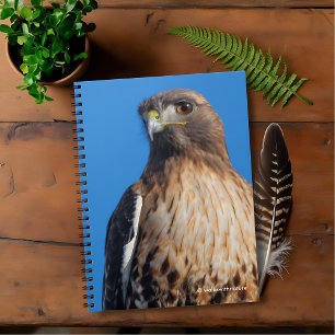 Magnificant Red-Tails Hawk i Sol Anteckningsbok Med Spiral