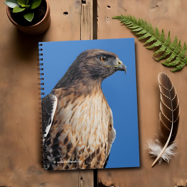 Magnificant Red-Tails Hawk i Sol Anteckningsbok Med Spiral (Magnificent Red-Tailed Hawk in the Sun Journal Cover Photo 2)