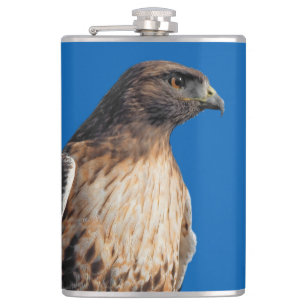 Magnificant Red-Tails Hawk i Sol Fickplunta