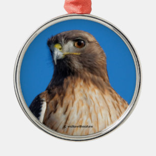 Magnificant Red-Tails Hawk i Sol Julgransprydnad Metall